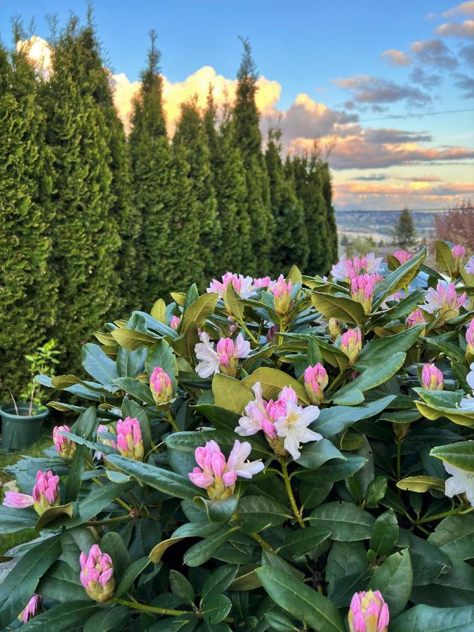 Lovely J Home -Stunning River View Cozy Two Bedroom Private Suite New Westminster Exteriér fotografie